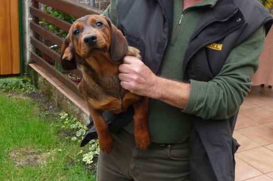 Pokračování focení retardy:¨))))))))