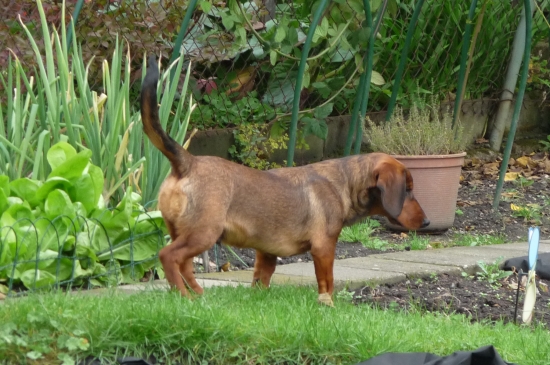 A stále se točí a točí.........