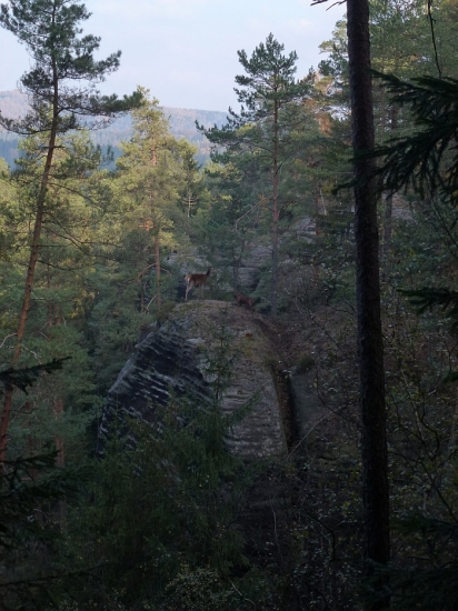 Chci se podělit o neskutečné záběry a úžasnou práci barváře.