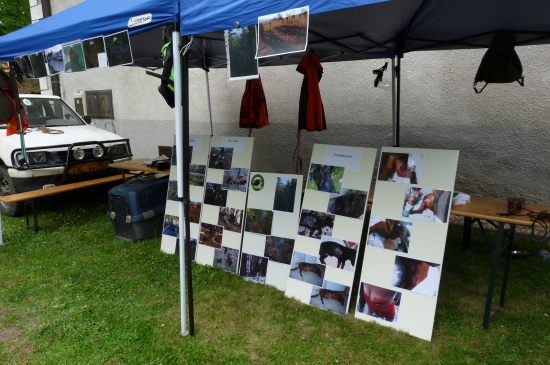 Opěrák,Alda,Matka a ostatní kamarádi .Setkání u našeho stánku