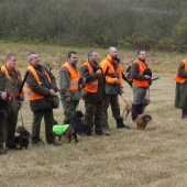 Táborská smečka honičů