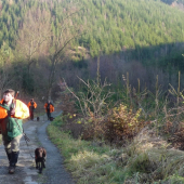 Táborská smečka po akci.Závěr-18 kusů černé,dvě lišky a kuna.U kamaráda Rudy ve Hně
