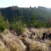 Malinko si odpočinem,počkáme na ostatní a půjdem