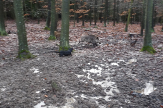 Kazánka syn.Bože,za čo???!!!!:))))