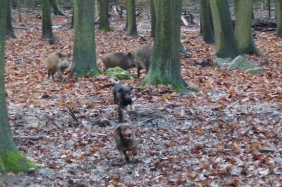 Jednou je ženem mi,jednou je to opačně.Tak to Eriko je:)))