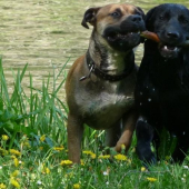 Tak hele-já jsem lovecký ...