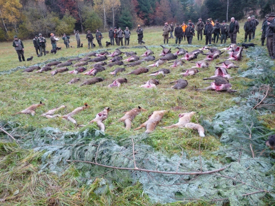 Dvoudenní naháňka se slíděním