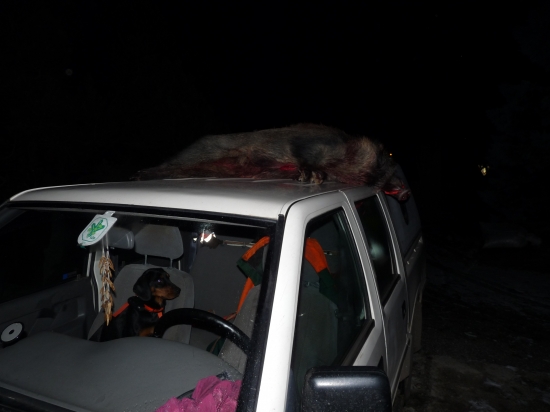 Najednou rána a něco nám přistálo na autě :)))))