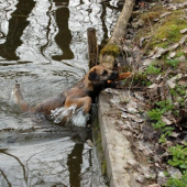 Jéjej,to bylo studený