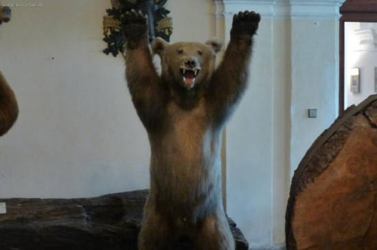 A to čekalo,kdyby neodmaturoval