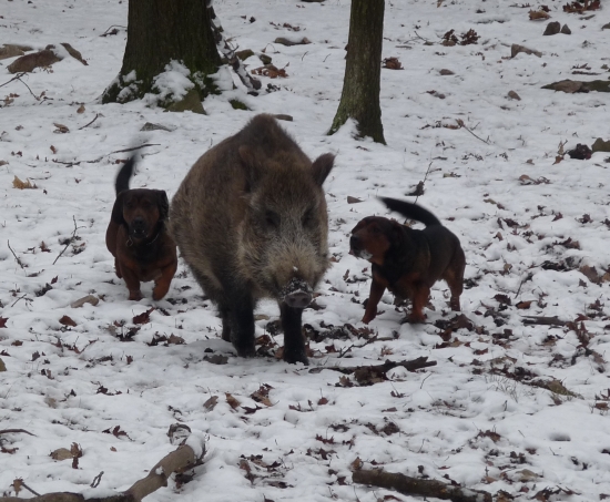 Kozana syn.Konečně dostává rozum.Pro Eriku-je na právé straně.Pošli mi telefoní čís