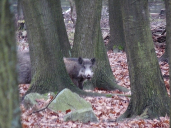 Hele-už o mě vědí........:))))))))