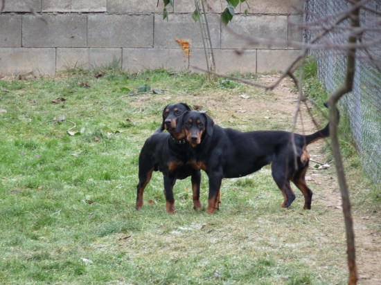 Slovenský rébus.Výměnná hlava:)))))))