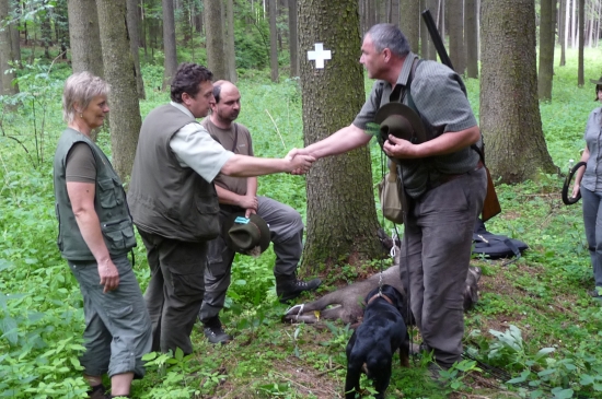 Úspěšný dosled BZH