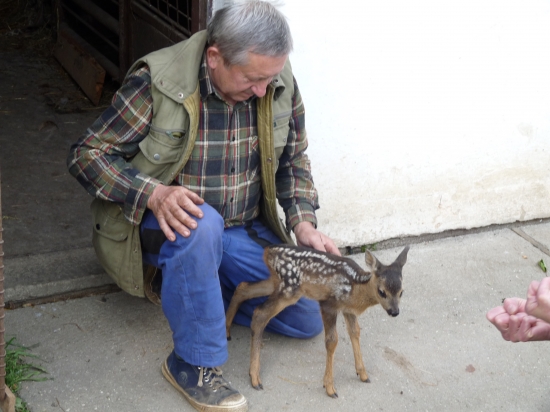 Další přírustek...