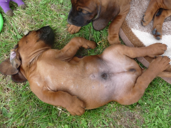 Na nějaký dosledy ať zapomenou,ale pššššš,nic jim neříkej.....:))))