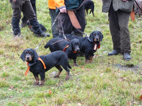 Tak co,pujdem už ???