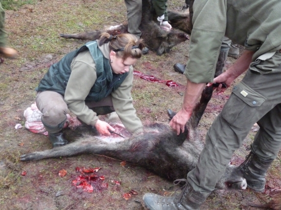 Šikovná slečna...