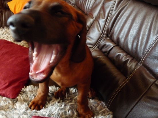 A všechny Vás sežeru!!! :))))