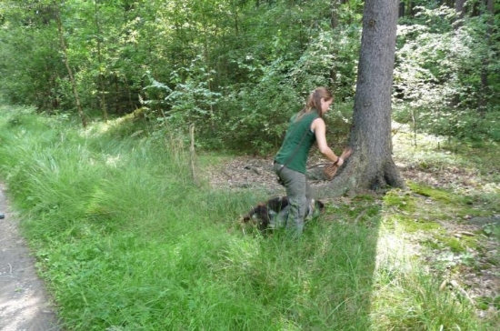 Nácvik na barvu