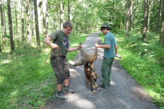 To sele je těžšké:))))