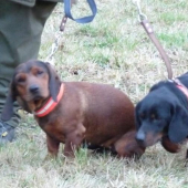 V pohoně nerozlučná dvojka.