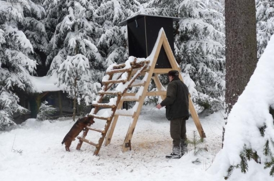 Elektronické krmítko