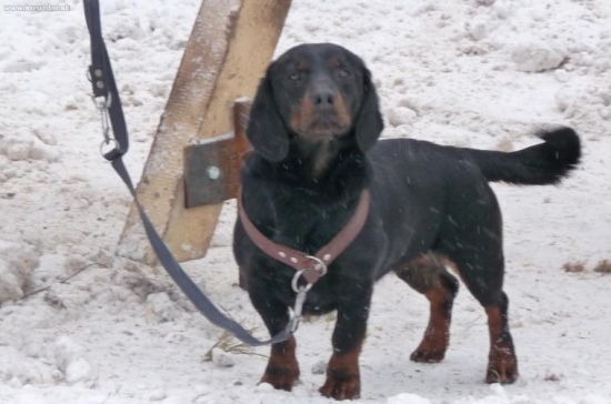 Zkuste nám to někdo vzít!!!