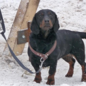 Zkuste nám to někdo vzít!!!