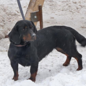 Fala Sušianská dolina