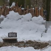 I mezi náma je bohužél ZVĚŘ