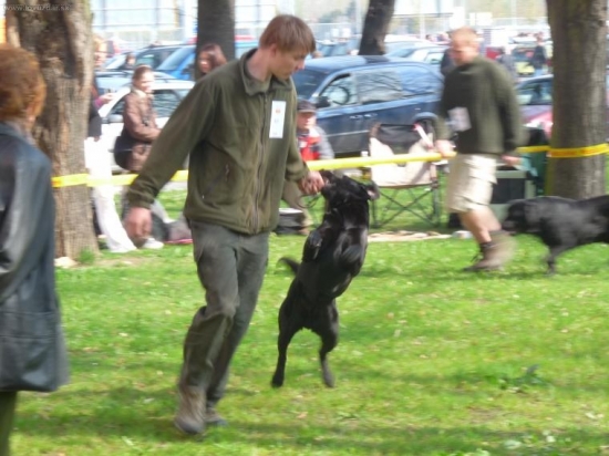 To nedopadne dobře:))))