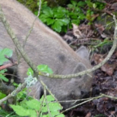 Jak to ta máma říkala??