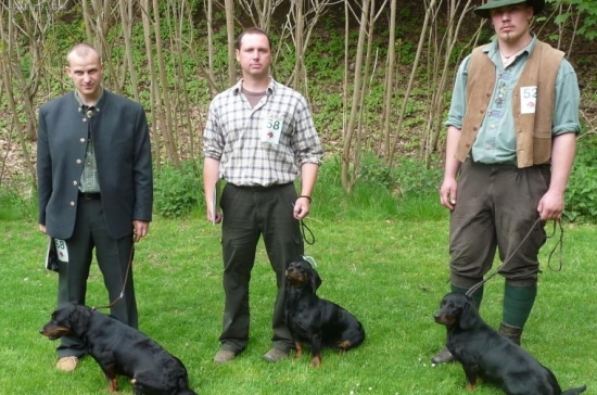 Klubová výstava ABJ s mezinárodní účastí-Konopiště 9.5.2010