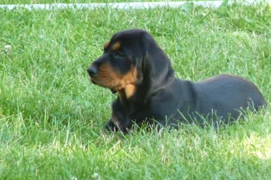 Naše Bertička první den