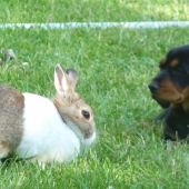 Jejéj-chvátáte na mě a já to tu ani pořádně neznám!!:)))
