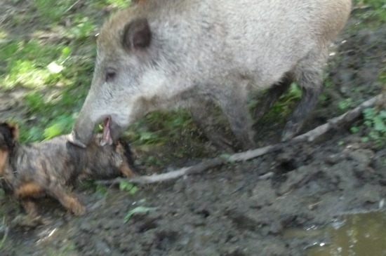 Počkej-ty ńa sr..t nebudeš!!!