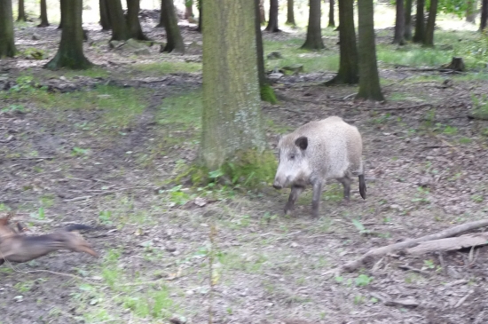 Kdo uteče-vyhraje!!!!