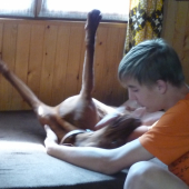 Kamarádi