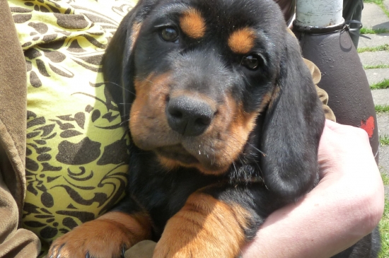 A něco pro Gabika 31