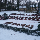 Docela se to povedlo