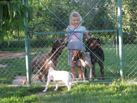 naša cvičiteľka a jej svorka