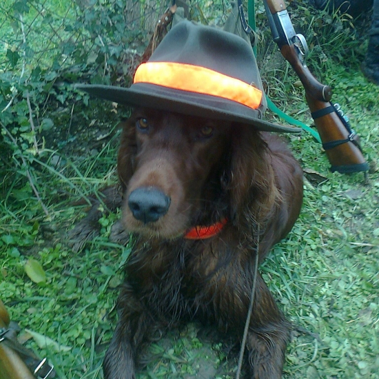 prestávka na spoločnej