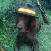 prestávka na spoločnej