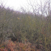 pohon-a cez toto mám prejsť???