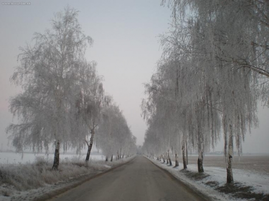 rano cestou na schodzu