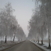 rano cestou na schodzu