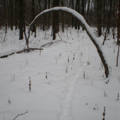 zajačí chodník pod Víťazným oblúkom