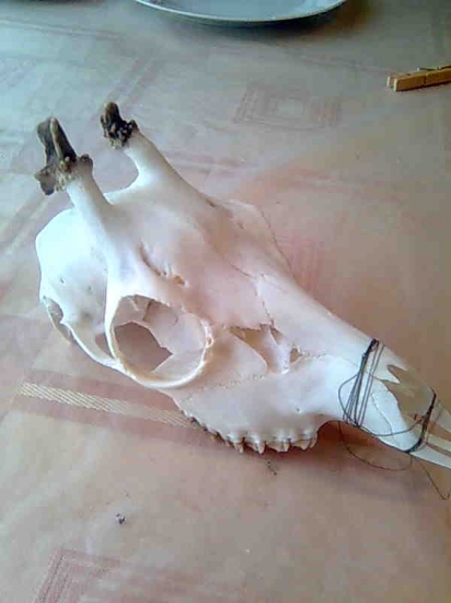 minulorocny I. VT.