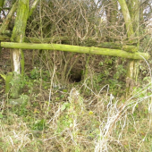 ..zeby trosku výsmech?